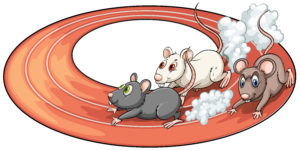 Three rats racing above at the back of a plate on a white background